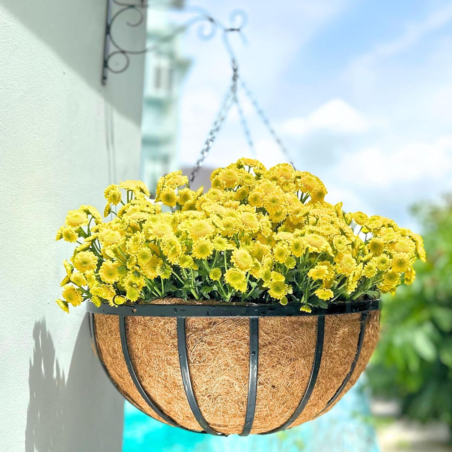 LaLaGreen Outdoor Hanging Baskets for Plants (2 Pack, 18 Inch) Extra Large Black Metal Flat Iron Hanging Planters with Coco Liner Round Flower Pot Holder Hanger Deck Porch Modern Garden Balcony Decor