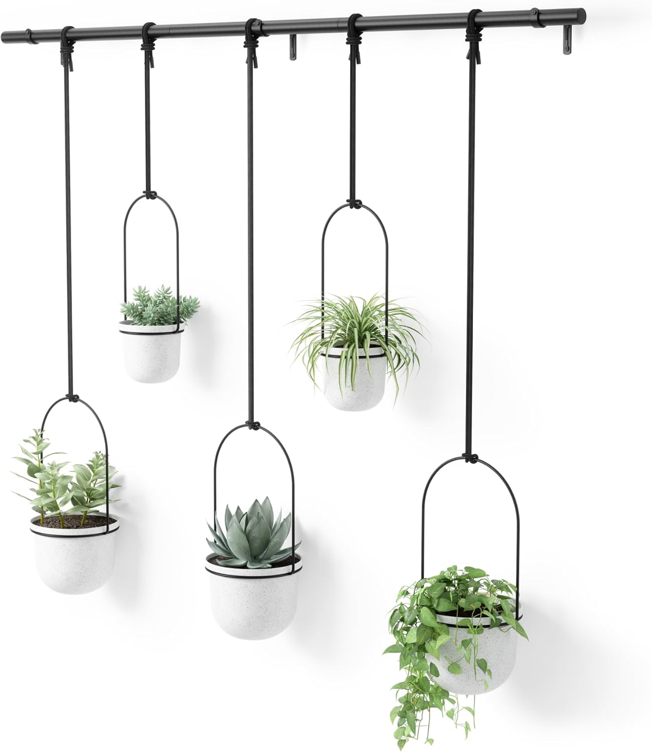 Umbra Triflora Hanging Planter, Set of 5, White
