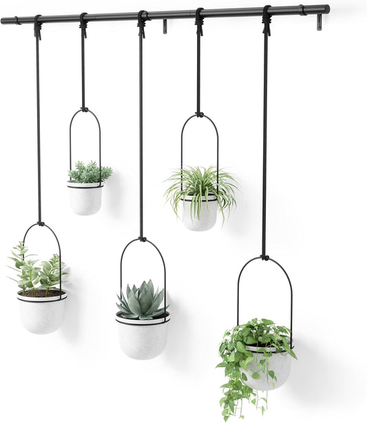 Umbra Triflora Hanging Planter, Set of 5, White