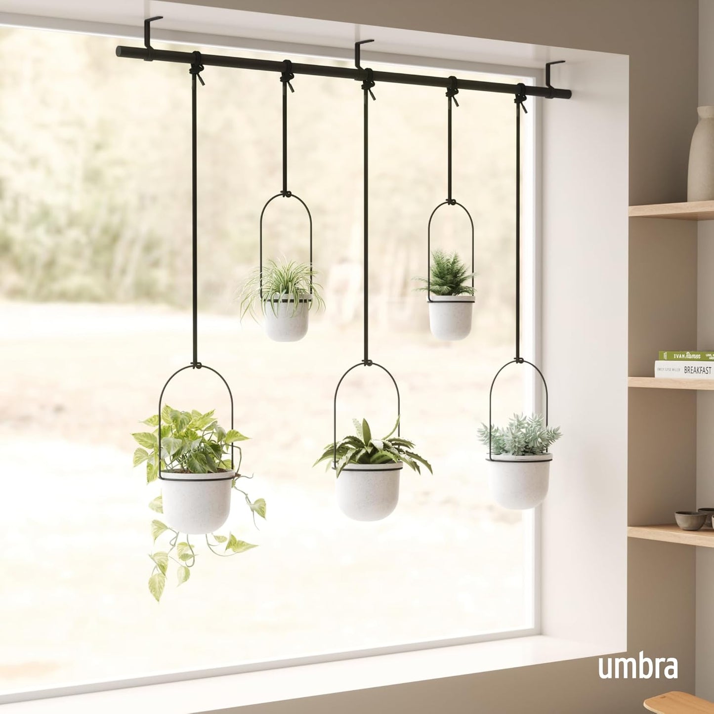 Umbra Triflora Hanging Planter, Set of 5, White