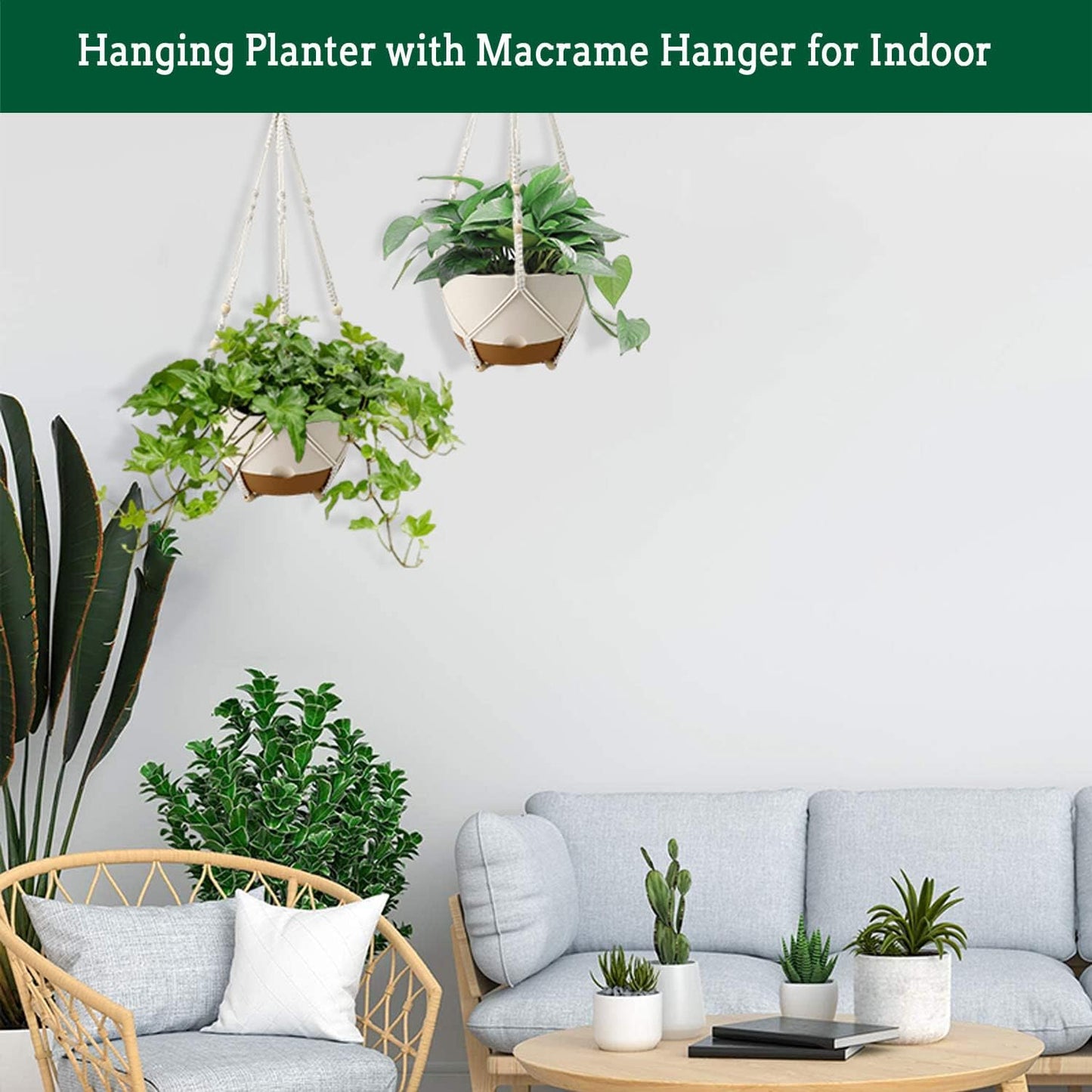 Hanging Planter Self Watering 10 Inch, 2 Pack Indoor Outdoor Hanging Baskets, Hanging Flower Pots with Drainage Hole & 2 Kinds of Plant Hangers for Garden Home Decor(Cream)…